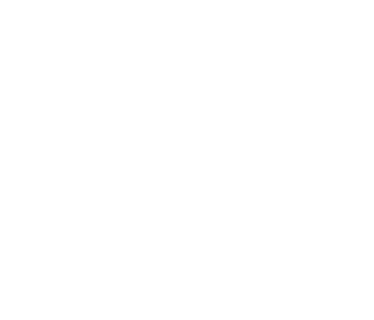 Indicador de velocidad y verificación